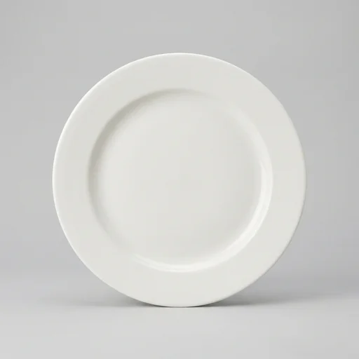 Churchill China Vitrified Dinner Plate